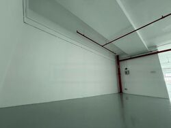 Trivex (D13), Factory #454758571